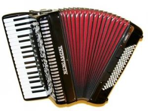 Piano accordion of 37 key and 96 bass 