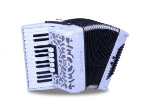 Piano accordion of 26 key and 72 bass with special reeds 