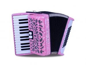 Piano accordion of 26 key and 60 bass with standard reeds 